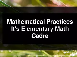 Mathematical Practices It's Elementary Math Cadre