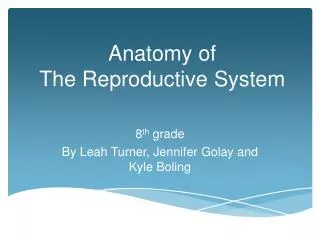 Anatomy of The Reproductive System