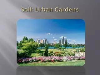 Soil: Urban Gardens