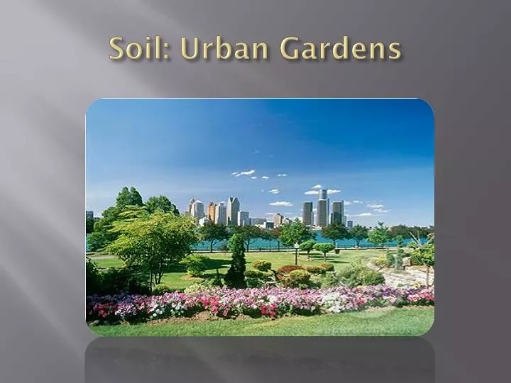 soil urban gardens