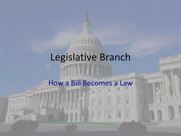 legislative branch