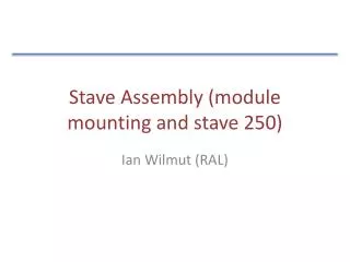 Stave Assembly (module mounting and stave 250)
