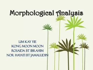 Morphological Analysis