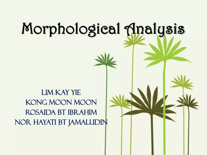 morphological analysis