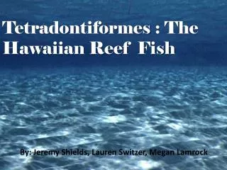 Tetradontiformes : The Hawaiian Reef Fish