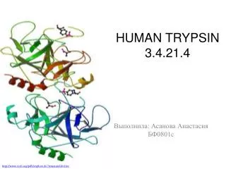HUMAN TRYPSIN 3.4.21.4