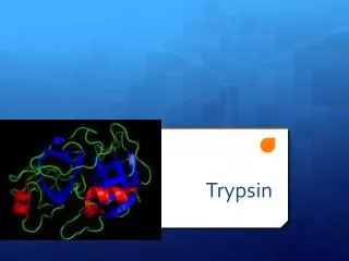 Trypsin