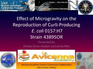 Effect of Microgravity on the Reproduction of Curli -Producing E. coli 0157:H7 Strain 43895OR