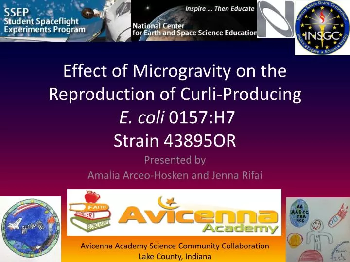 effect of microgravity on the reproduction of curli producing e coli 0157 h7 strain 43895or