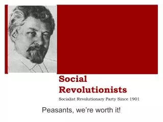 Social Revolutionists
