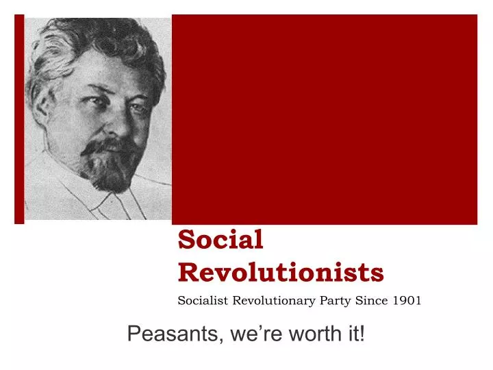 social revolutionists