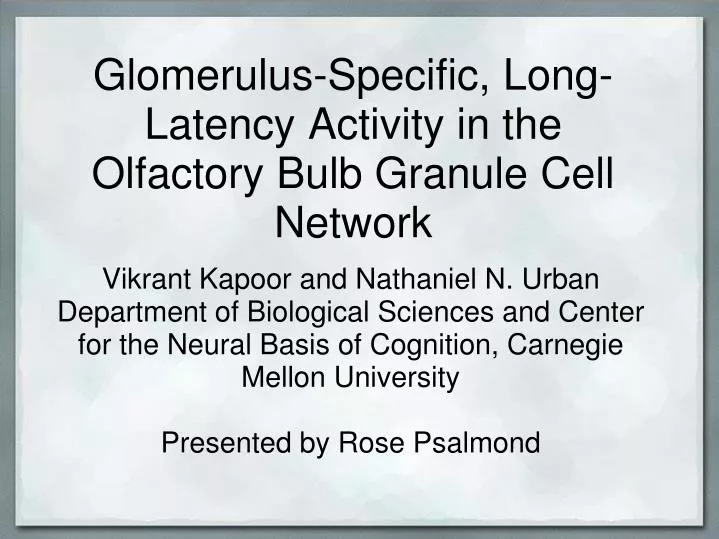 glomerulus specific long latency activity in the olfactory bulb granule cell network