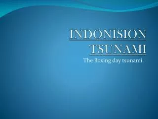 INDONISION TSUNAMI