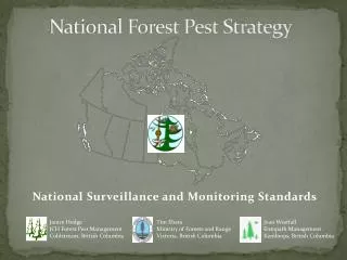 National Forest Pest Strategy
