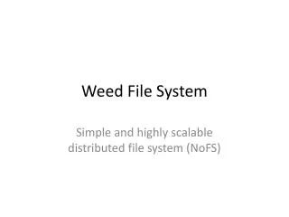 Weed File System