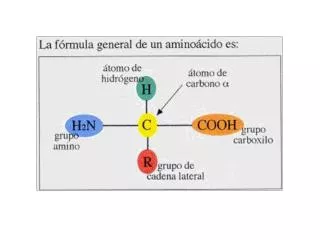 http://copepodo.files.wordpress.com/2010/11/amino-acid-chart.jpg