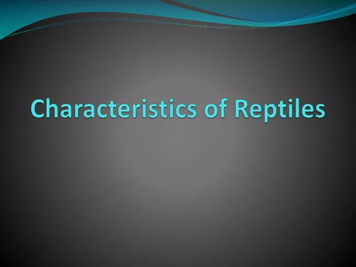 characteristics of reptiles
