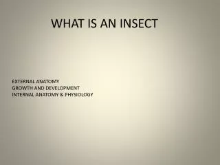 WHAT IS AN INSECT