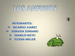 los anfibios