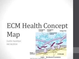 ECM Health Concept Map