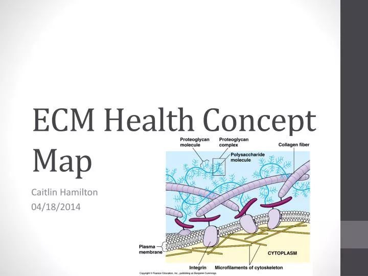 ecm health concept map