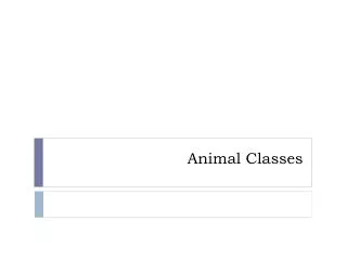 Animal Classes