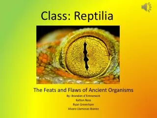 Class: Reptilia