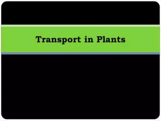 Transport in Plants
