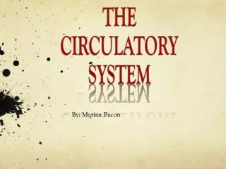 the circulatory system