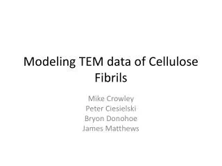 Modeling TEM data of Cellulose Fibrils