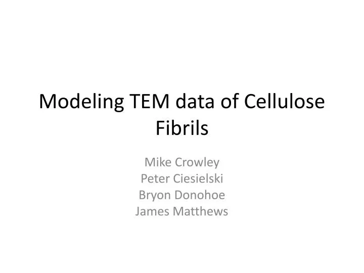 modeling tem data of cellulose fibrils