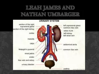 leah james and nathan umbarger