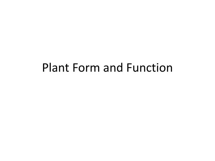plant form and function