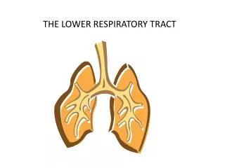 THE LOWER RESPIRATORY TRACT