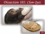 Click - slide 1