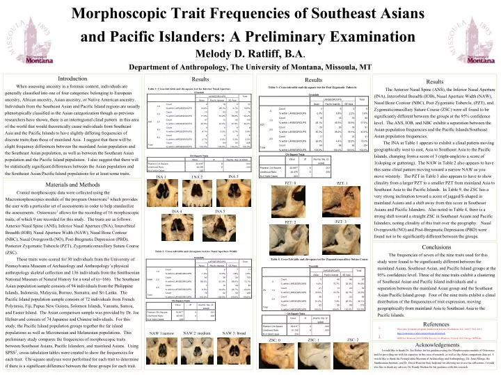 morphoscopic trait frequencies of southeast asians and pacific islanders a preliminary examination