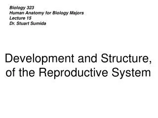 Biology 323 Human Anatomy for Biology Majors Lecture 15 Dr. Stuart Sumida