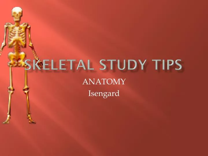 skeletal study tips