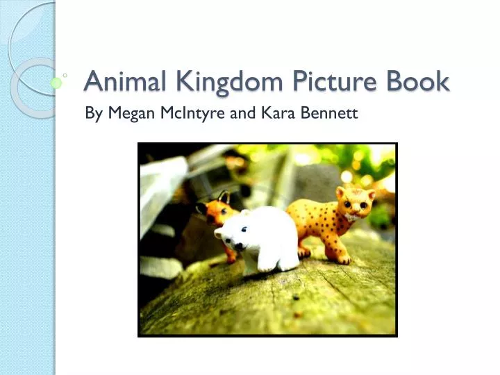 animal kingdom picture book