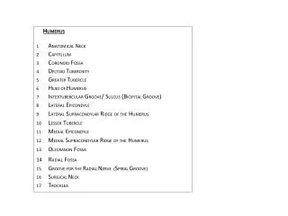 H UMERUS 1	 A NATOMICAL N ECK 2	 C APITULUM 3	 C ORONOID F OSSA 4	 D ELTOID T UBEROSITY