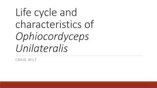 Life cycle and characteristics of Ophiocordyceps Unilateralis