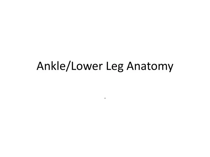 ankle lower leg anatomy