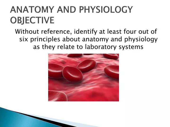 anatomy and physiology objective