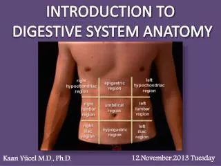 INTRODUCTION TO DIGESTIVE SYSTEM ANATOMY