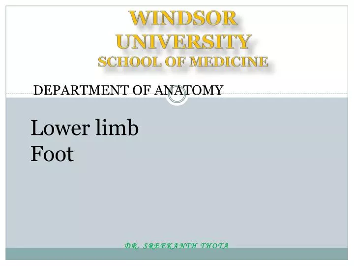 windsor university school of medicine