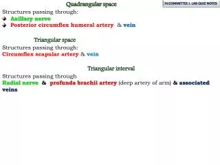 Quadrangular space Structures passing through : Axillary nerve