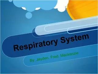 Respiratory System