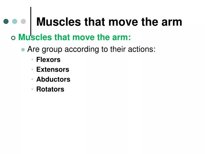muscles that move the arm
