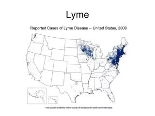 Lyme