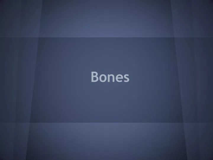 presentation about bones